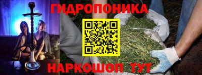 крисы Гусев